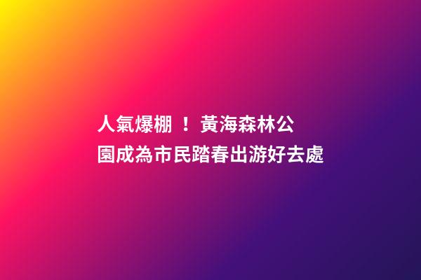 人氣爆棚！黃海森林公園成為市民踏春出游好去處